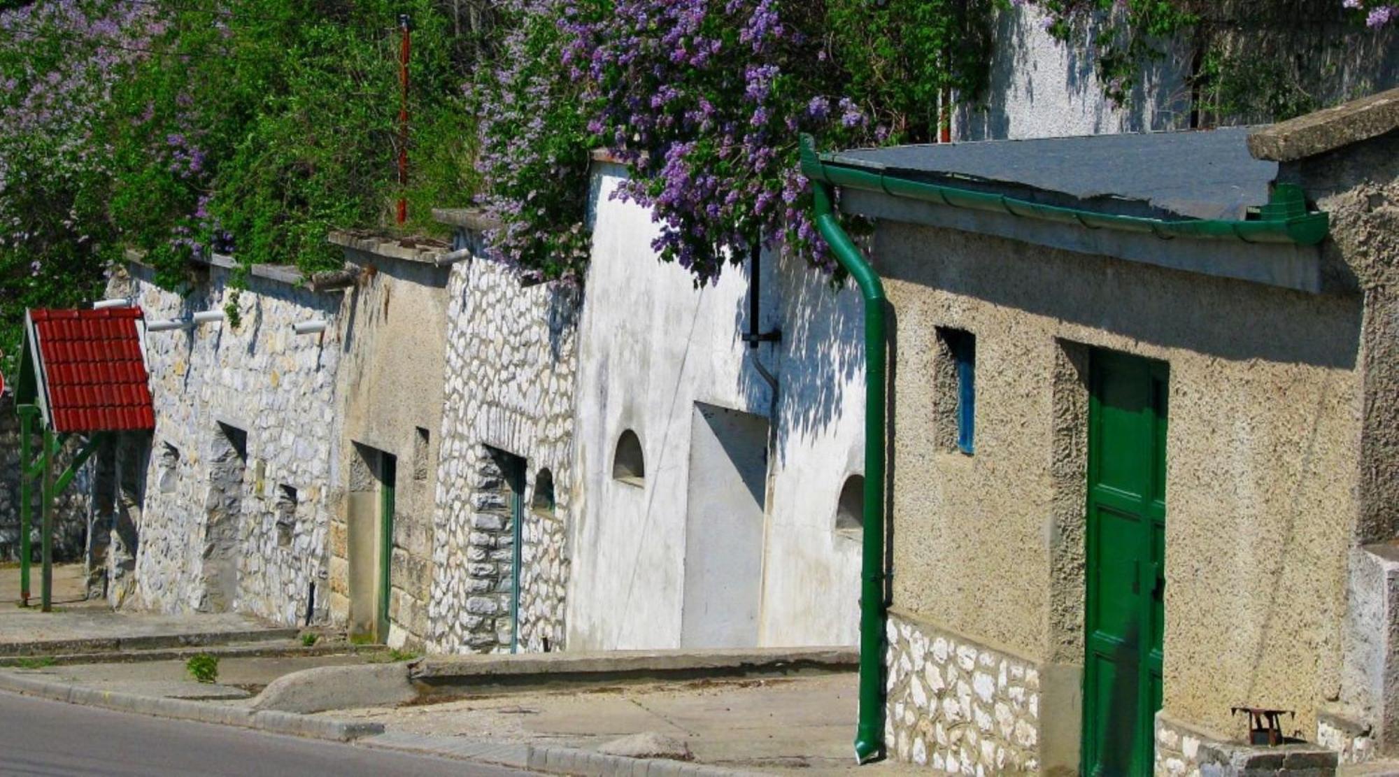 Fenyo Panzio Bed and Breakfast Mezőkövesd Eksteriør billede