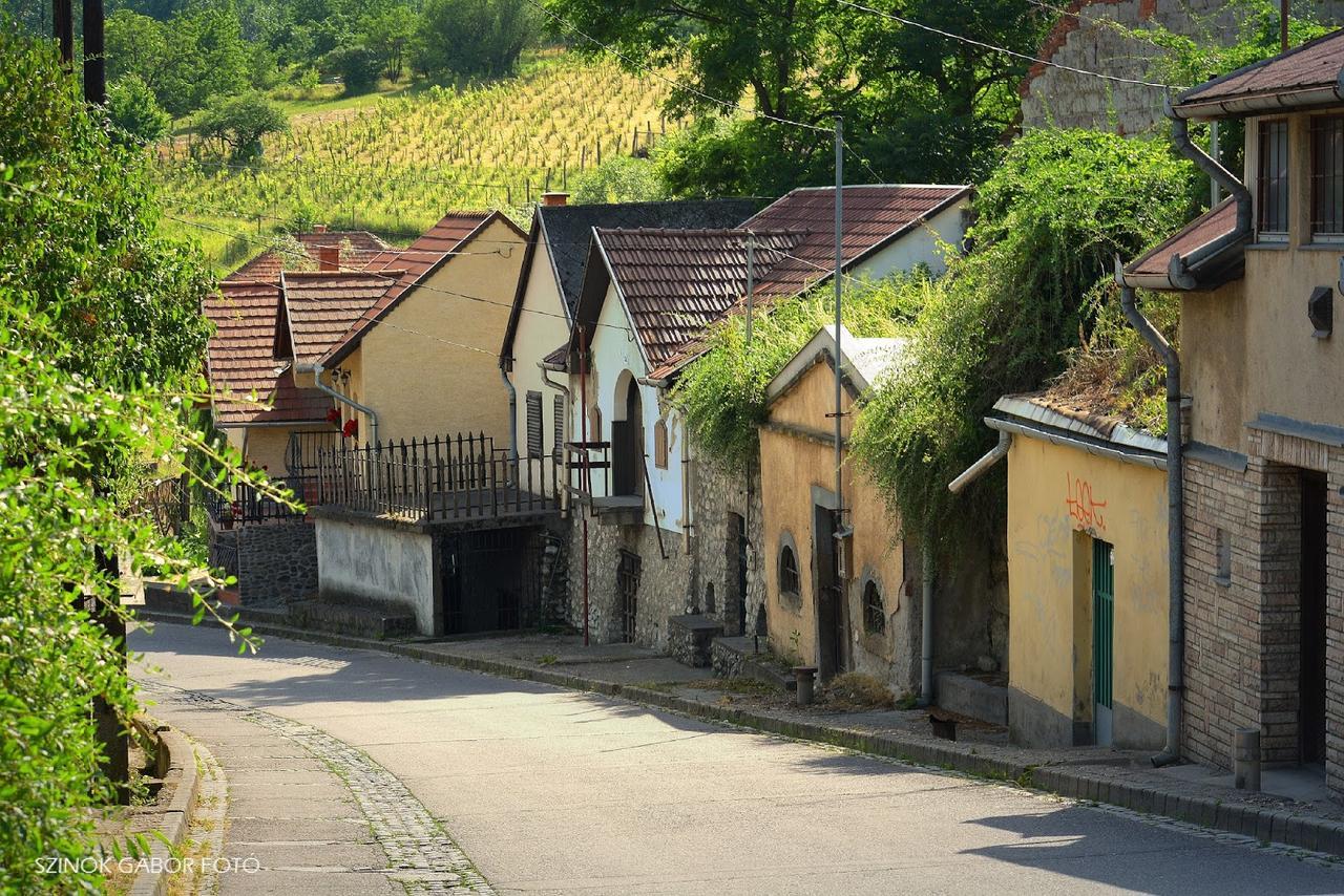 Fenyo Panzio Bed and Breakfast Mezőkövesd Eksteriør billede